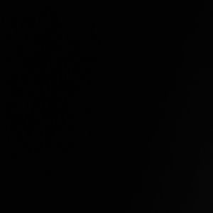 Meet your Posher, Malik